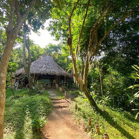 Hostal Paraiso Tayrona Kogui Los Naranjos Eksteriør bilde