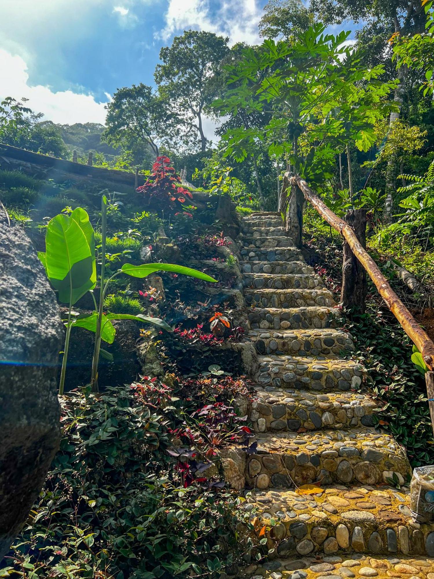 Hostal Paraiso Tayrona Kogui Los Naranjos Eksteriør bilde